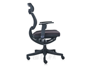 Mesh Executive Chair CG-1001C-2