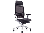 Mesh Executive Chair CG-GY750A