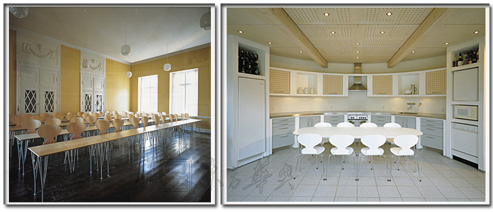 现代经典休闲椅|木制休闲椅|办公家具|蚂蚁椅|休闲椅,塑料休闲椅,餐椅,洽谈椅